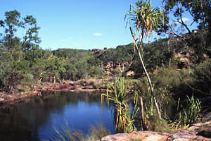 Baroalba Springs in Kakadu National Park