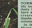 Townsville Bulletin, Monday, July 29, 2002 