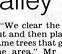 Townsville Bulletin, October 26, 1999